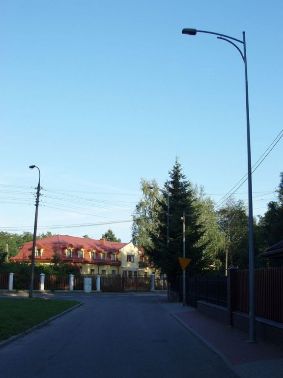 P8193461