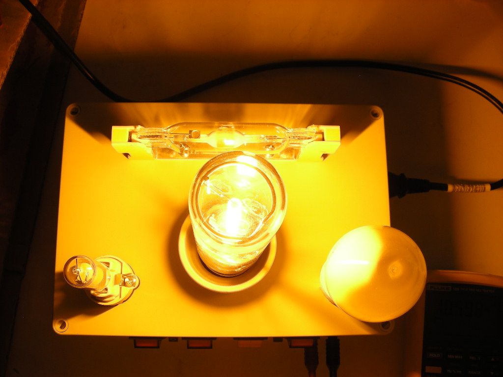 DSCN5869