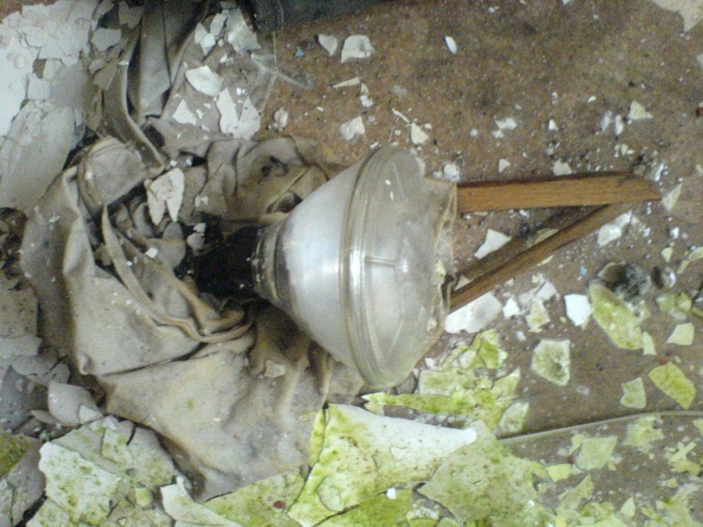 DSC06831