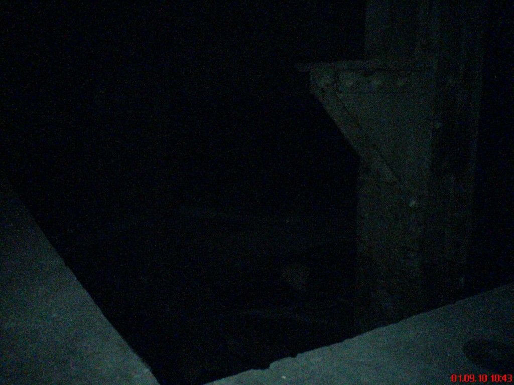 DSC06860