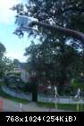 DSC06909