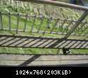 DSCN2379