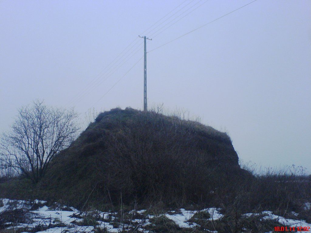 DSC07062