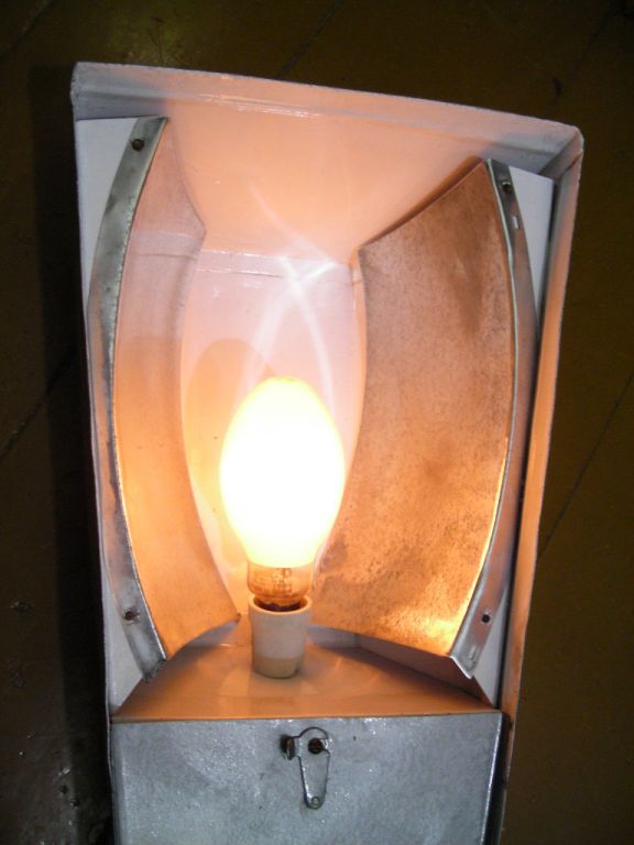 DSCN5399