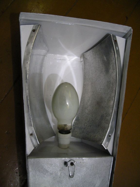 DSCN5400