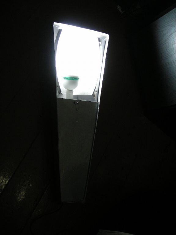 DSCN5408