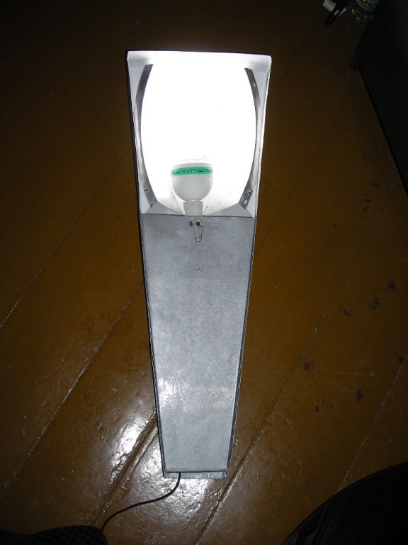 DSCN5409