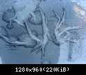 DSC00522