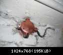 DSCN5569