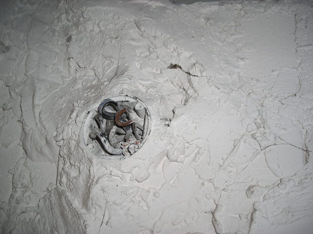 DSCN5581