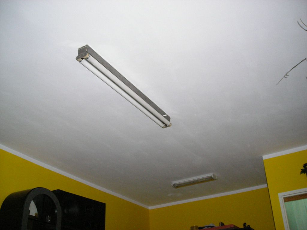 DSCN5590