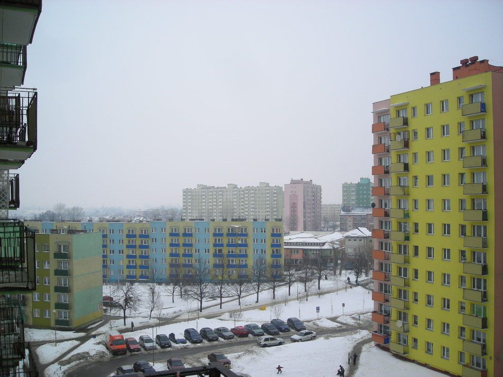 DSCN5598