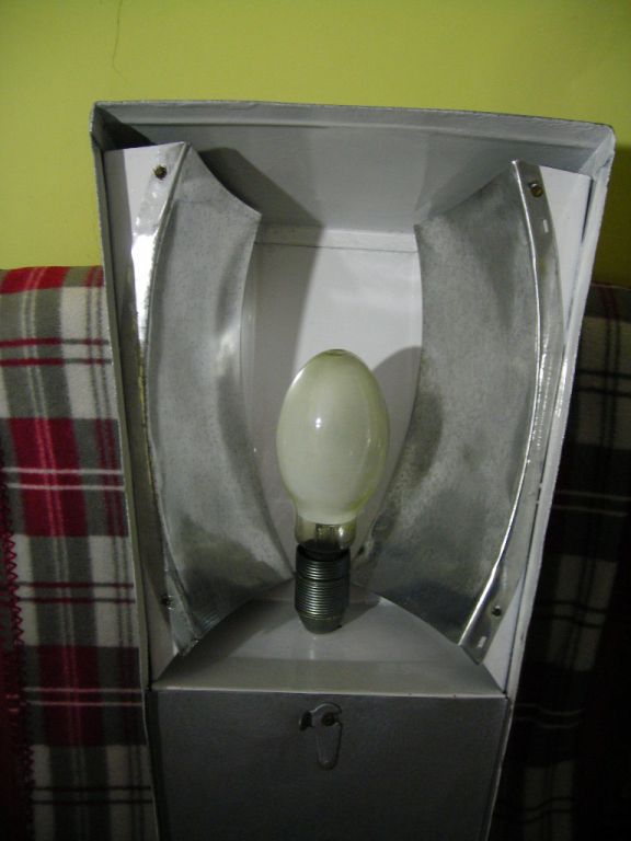 DSCN5421
