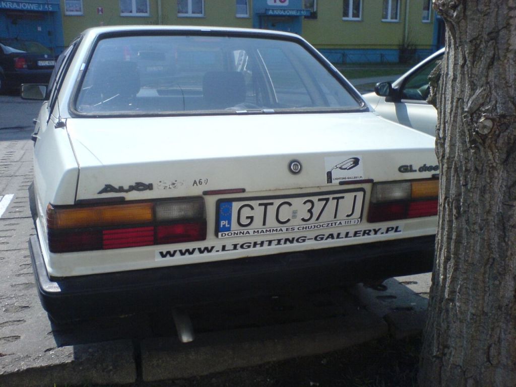 DSC00730