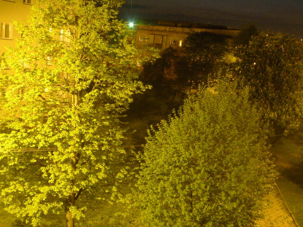 Skarżysko nocą (5).J