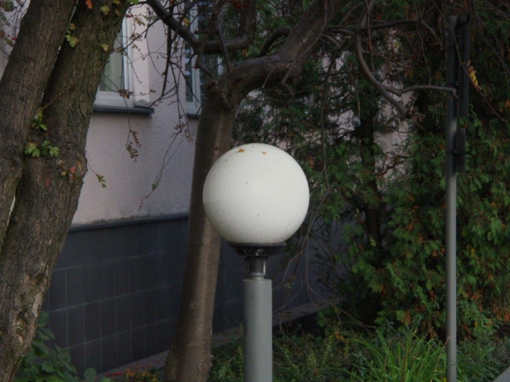 OCP