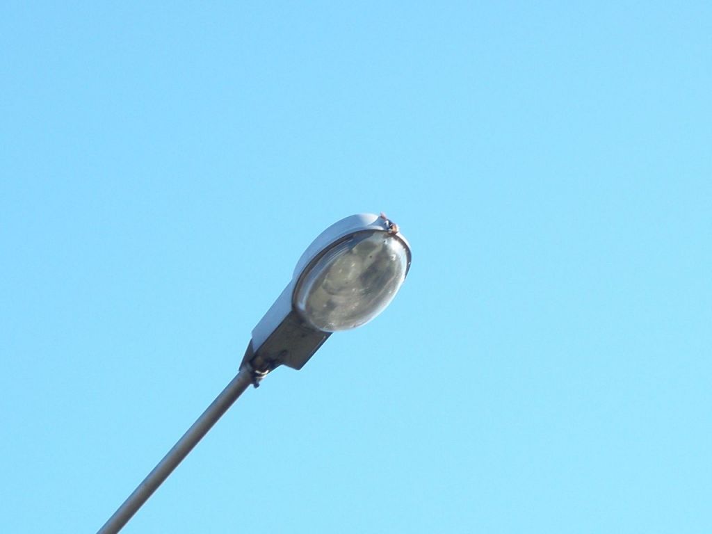 OZS-70