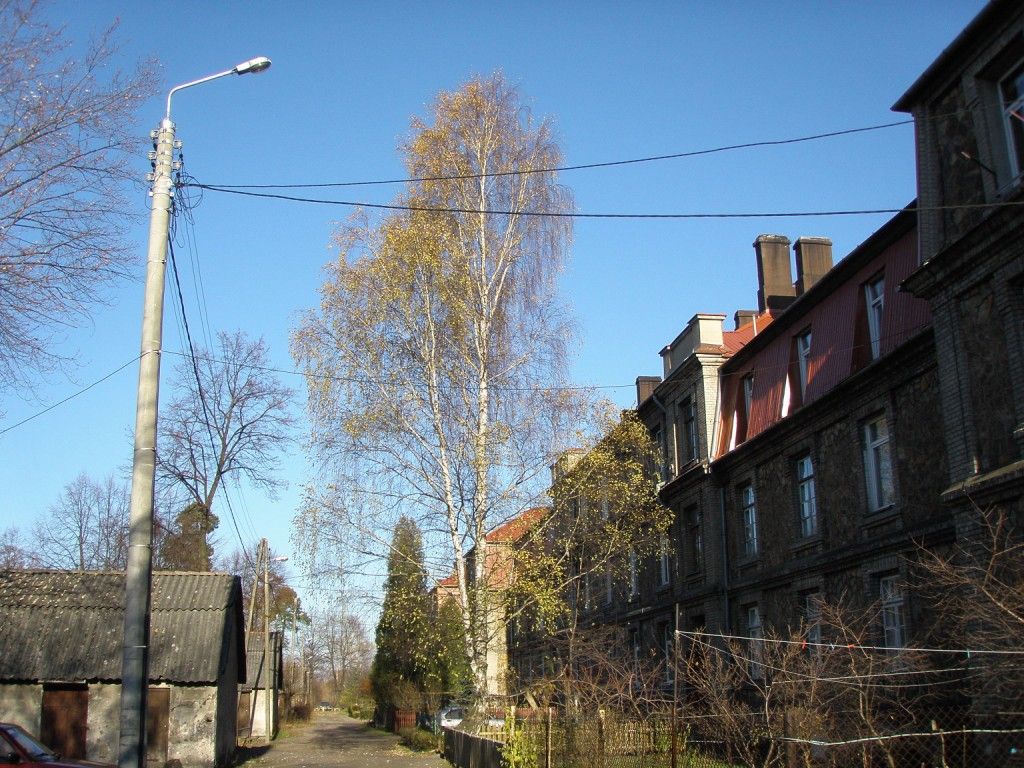 Skarżysko listopad 2010 (4).