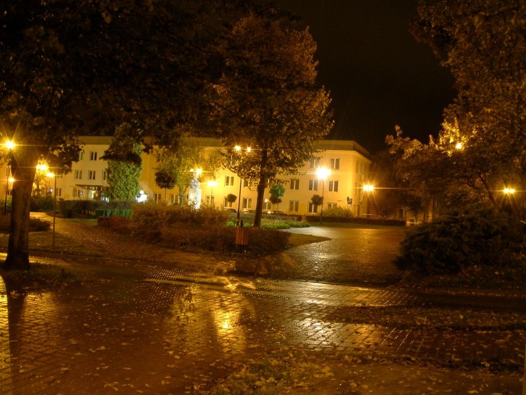 Skarżysko noc wrzesień (13).j