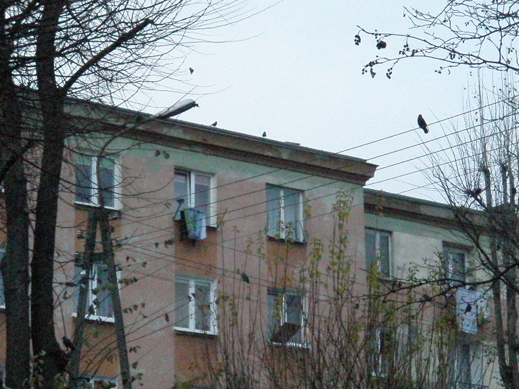 Skarżysko-Kamienna (18).