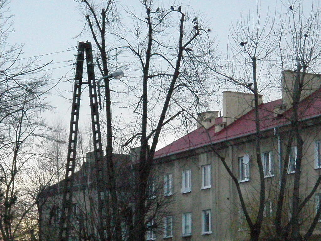Skarżysko-Kamienna OZS-70 (18).