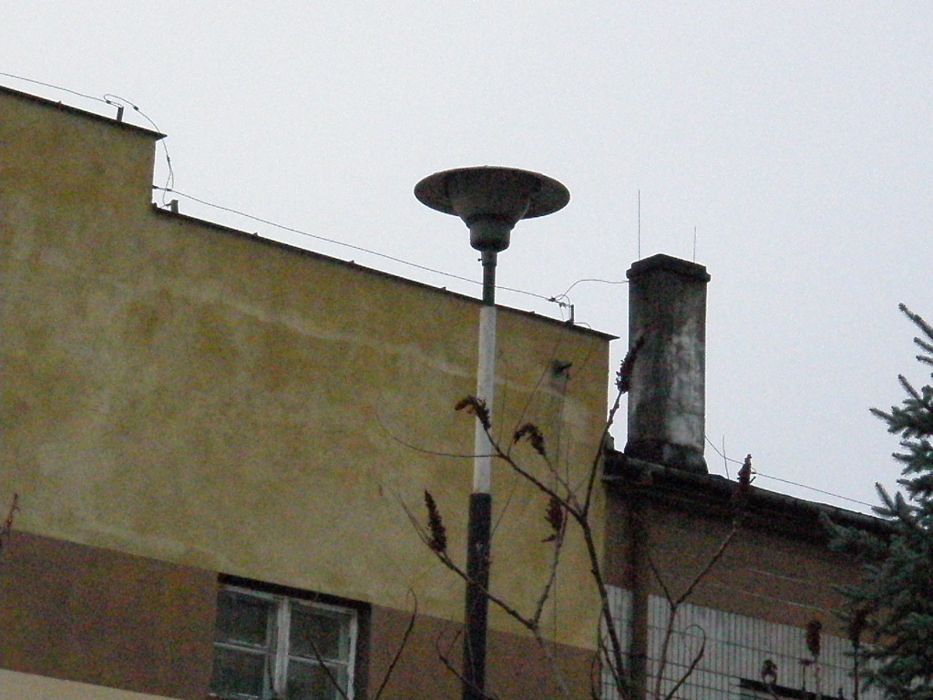 ODR-80 mleczny