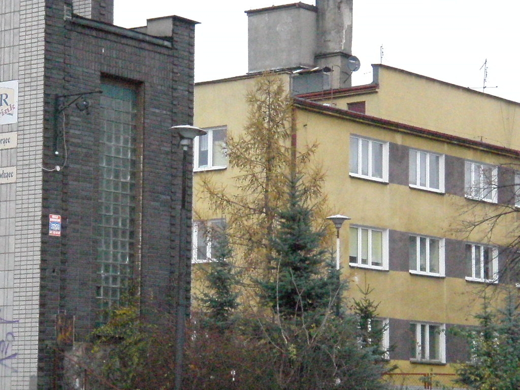 ODR-80 mleczny (2)