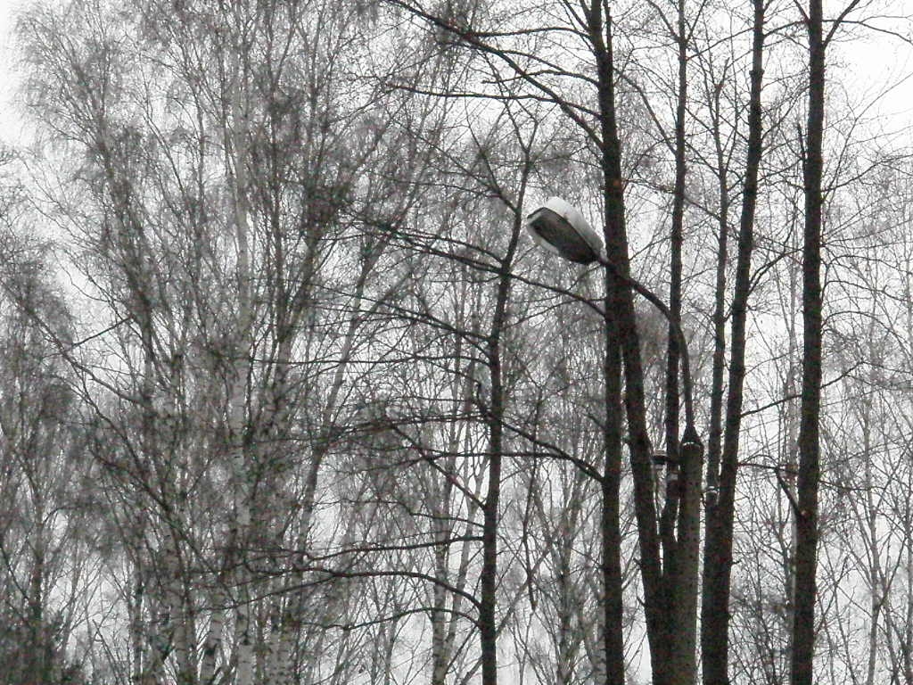 Skarżysko-Kamienna OZS (3).