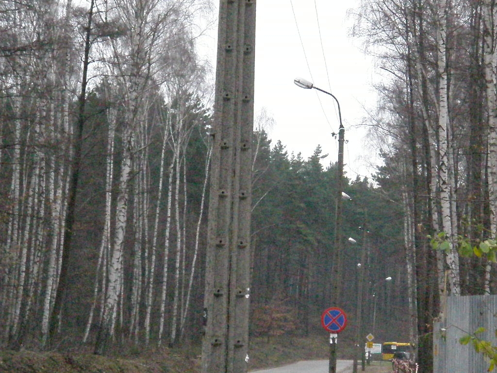 Skarżysko-Kamienna OZS (9).