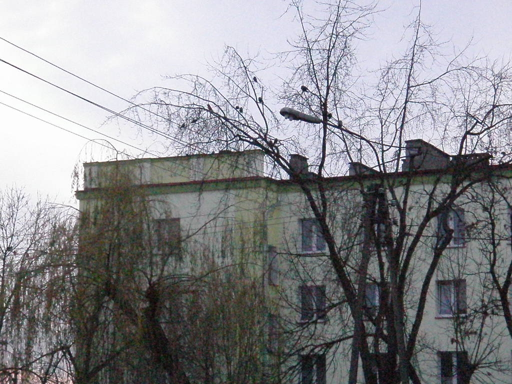 Skarżysko-Kamienna (81).