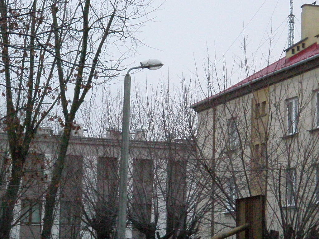 Skarżysko-Kamienna (71).