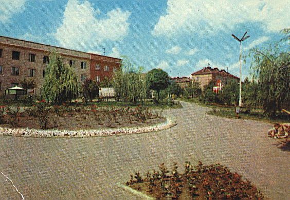 Stare Skarżysko (7).