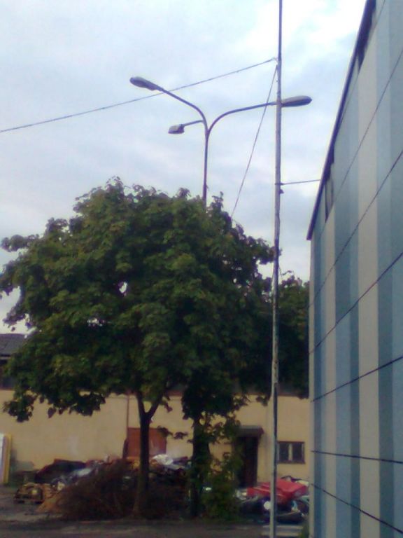 Obraz 125