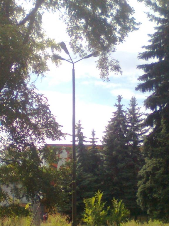 Zdjęcie0517.