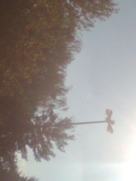 Zdjęcie0955.