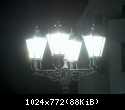 HPIM6598