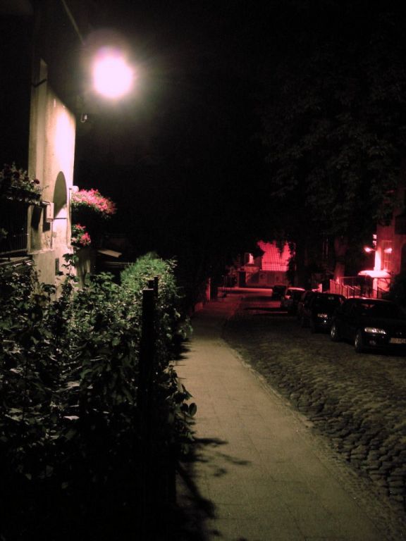 DSCN6648