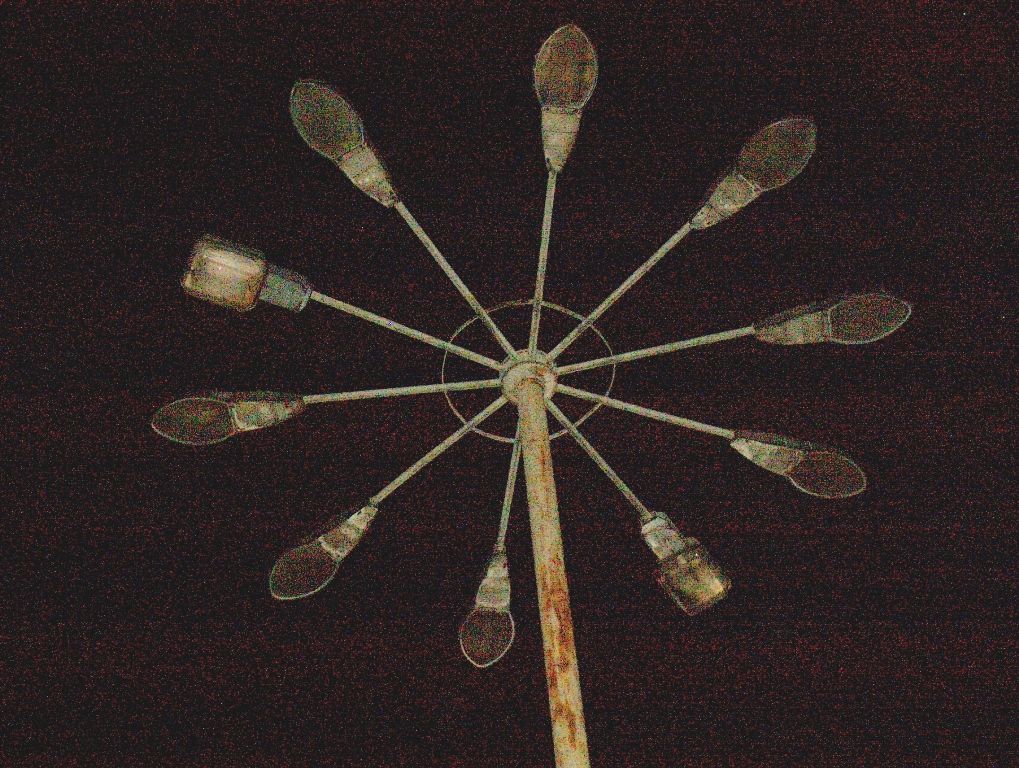 HPIM7510
