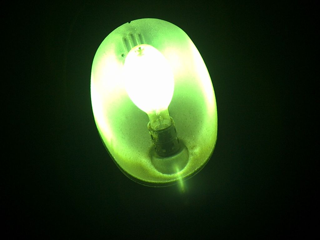 HPIM7517