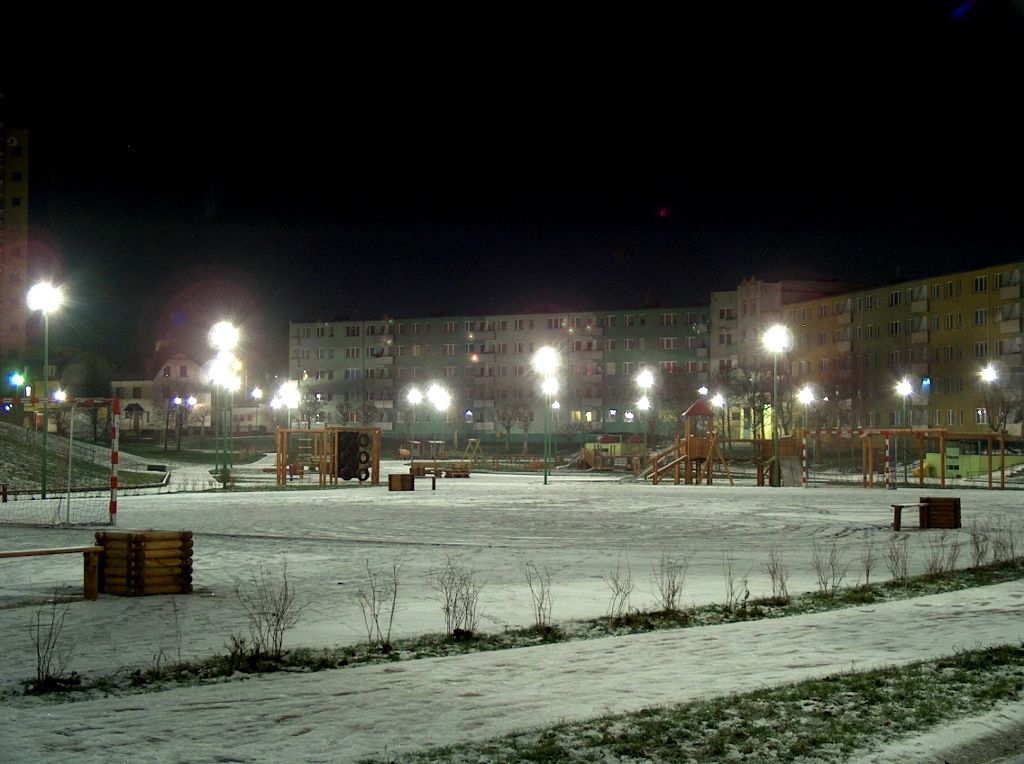HPIM6113