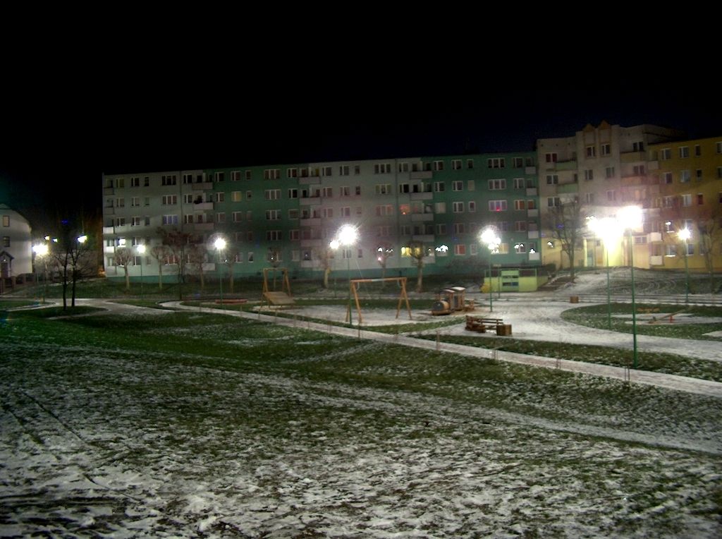 HPIM6119