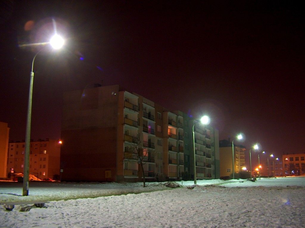 HPIM6267