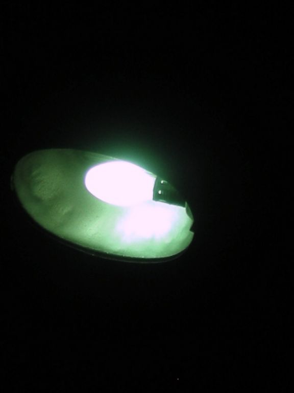 DSCN5732