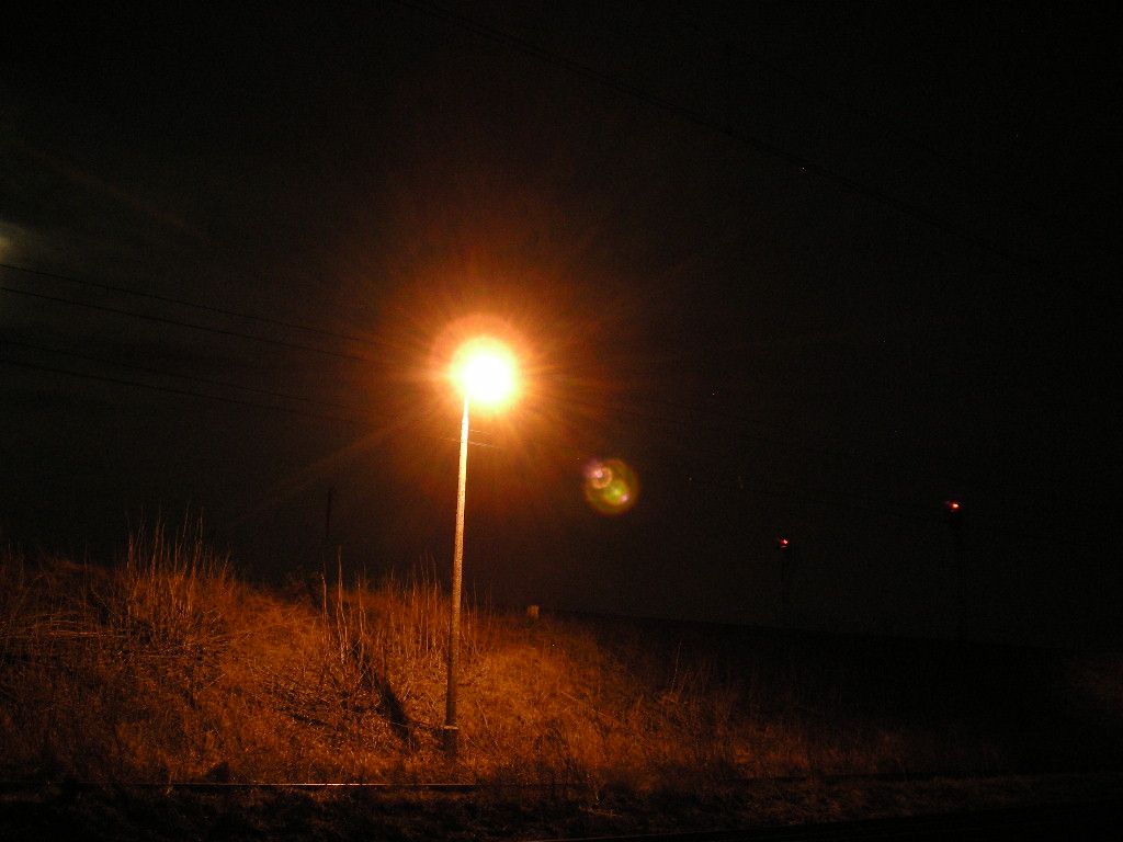 DSCN5738