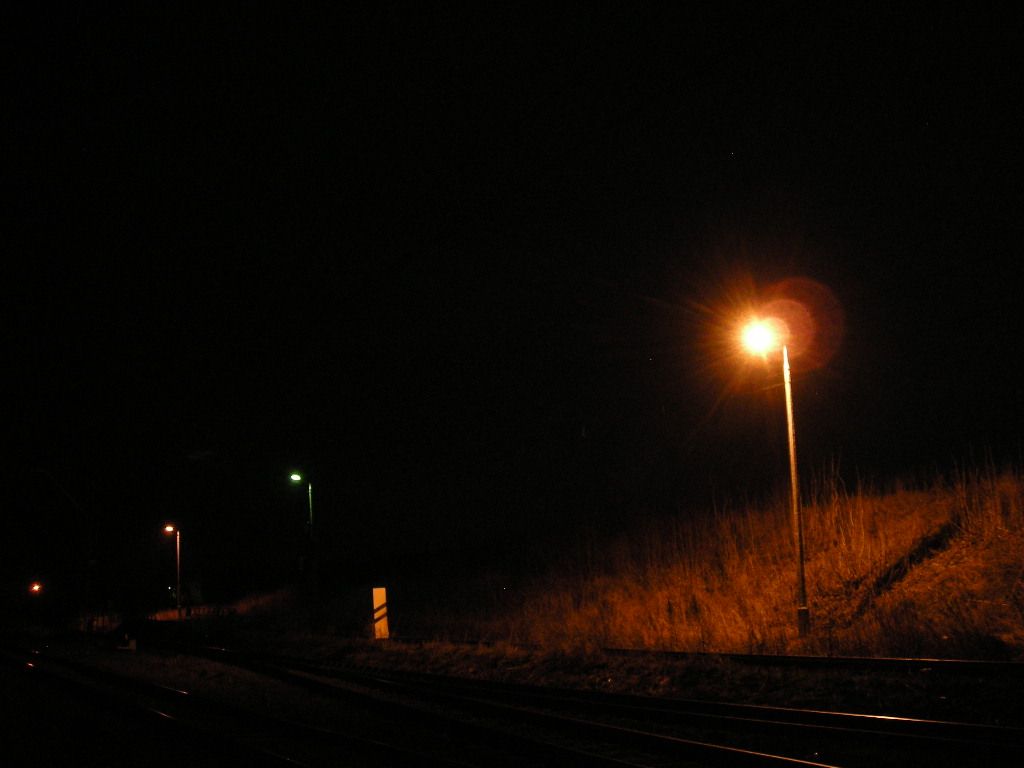DSCN5742