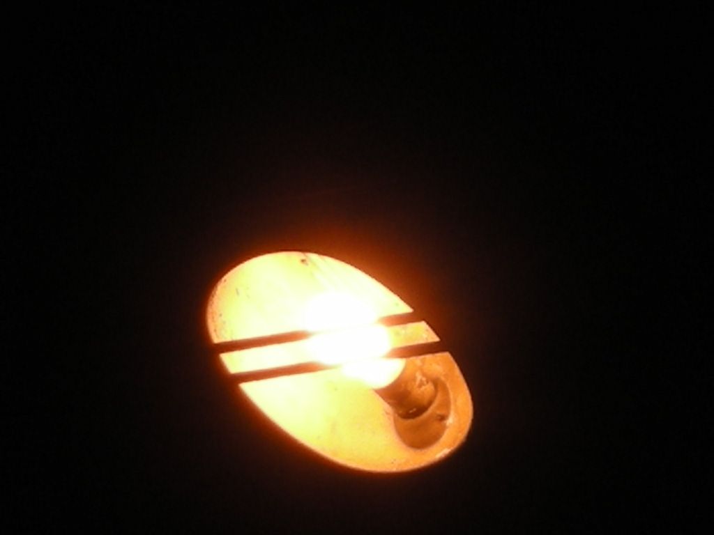 DSCN5743