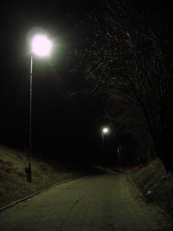 DSCN5745