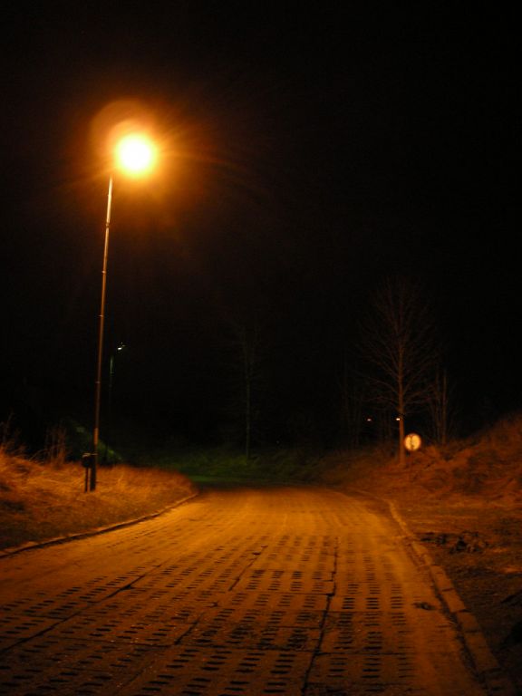 DSCN5747