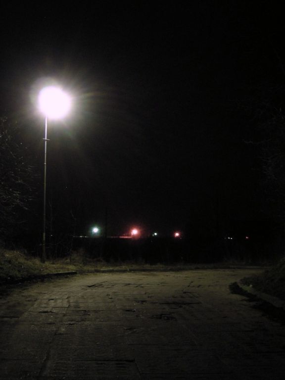 DSCN5754