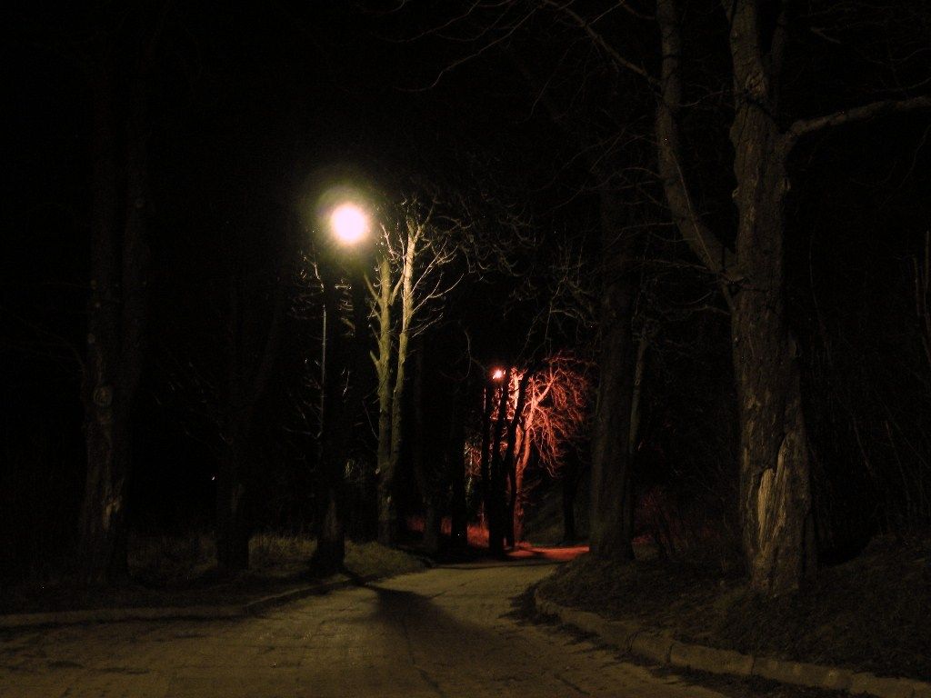 DSCN5756